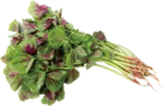 Red spinach